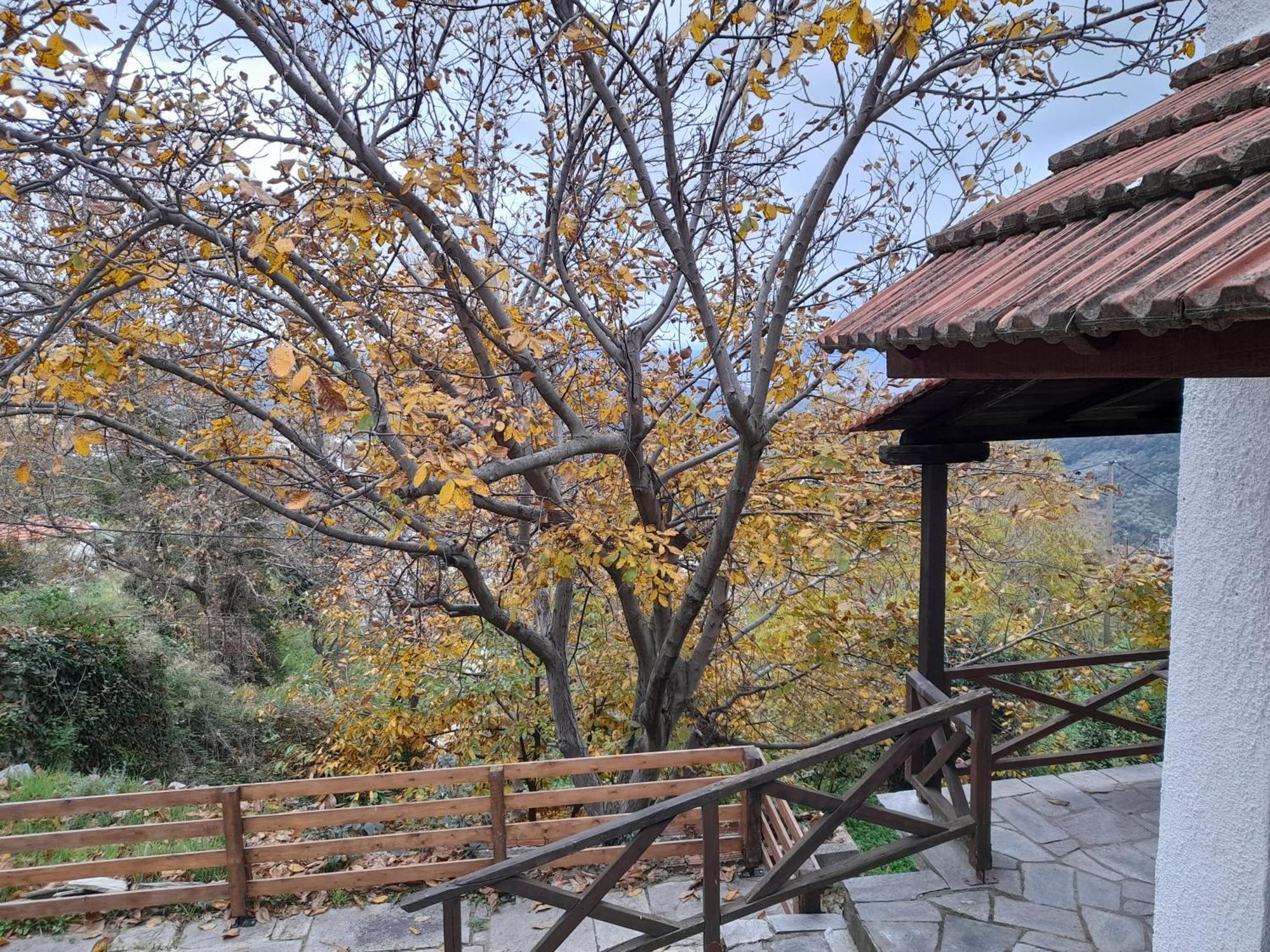 度假居 Mountain And Sea View *