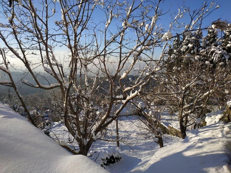 Ferienhaus Mountain And Sea View